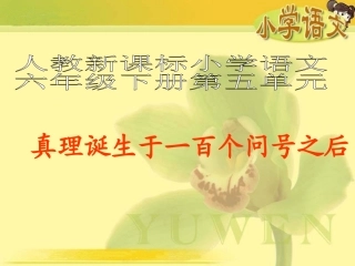 （人教新课标）六年级语文课件真理诞生于一百个问号之后