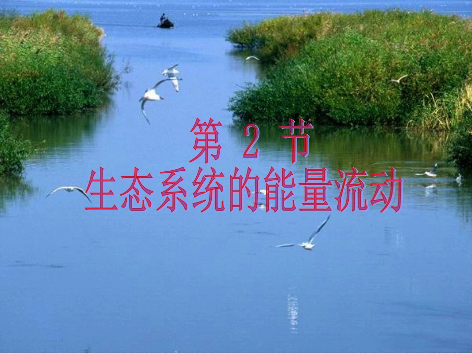 人教版必修三第5章第2节生态系统的能量流动（共27张PPT）_第1页