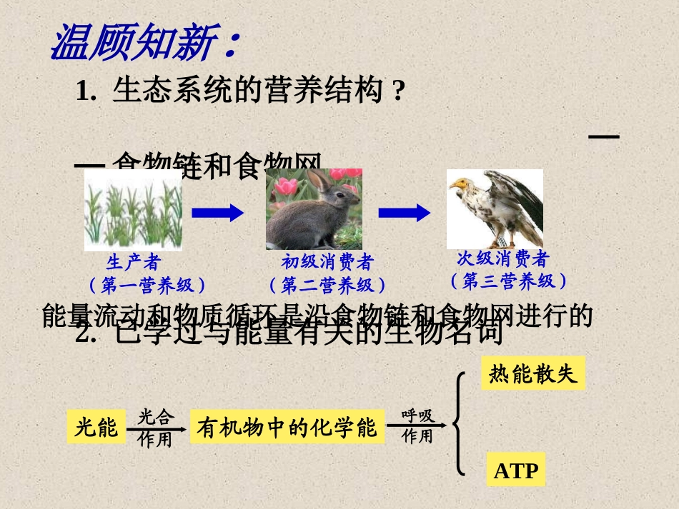 人教版必修三第5章第2节生态系统的能量流动（共27张PPT）_第2页