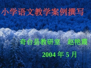 小学语文教学案例撰写