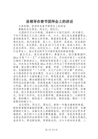 县领导在春节团拜会上的讲话发言