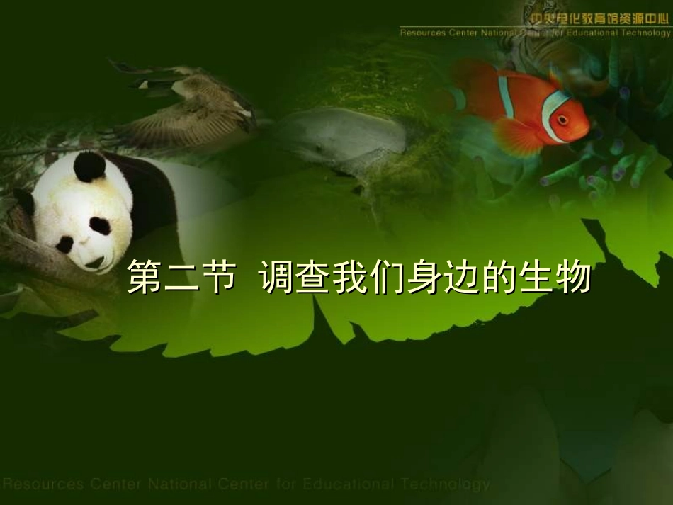 调查我们身边的生物 _第1页