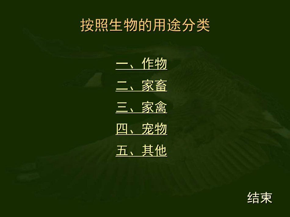 调查我们身边的生物 _第2页