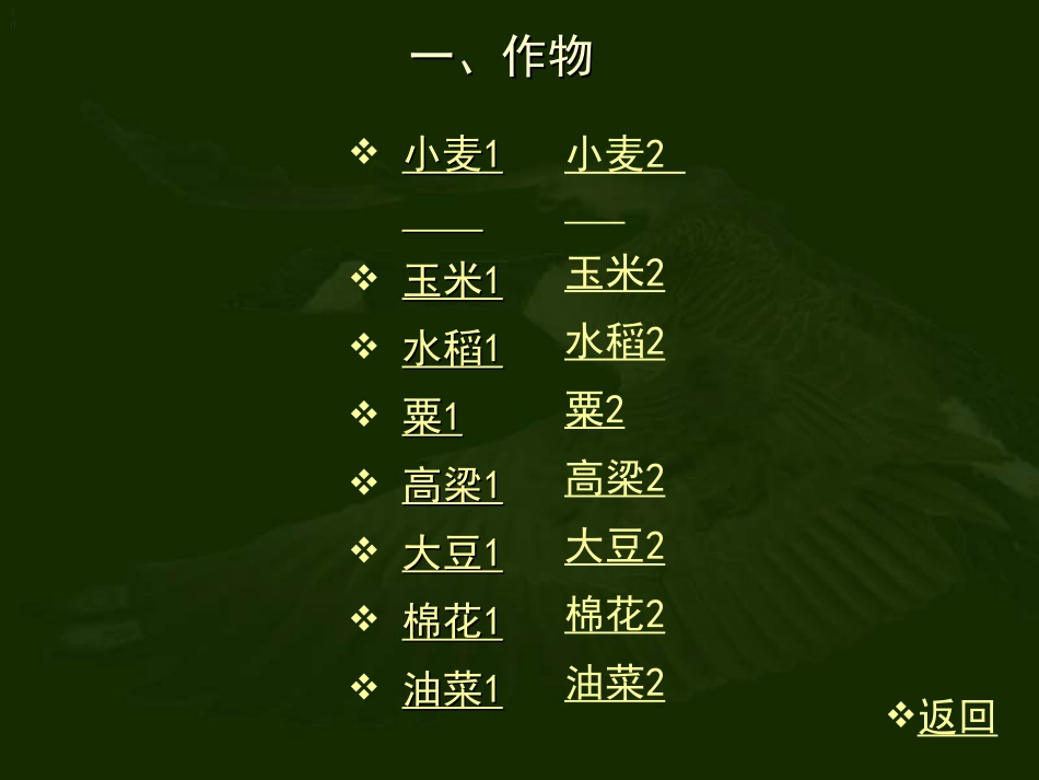 调查我们身边的生物 _第3页