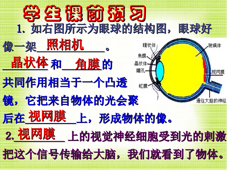 眼睛和眼镜PPT(1)_第3页