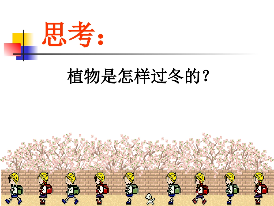 《动植物是怎样过冬的》课件_第3页