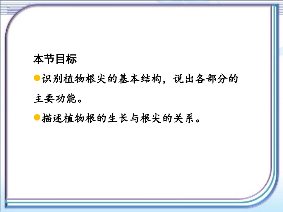 《植物根的生长》参考课件1_第2页