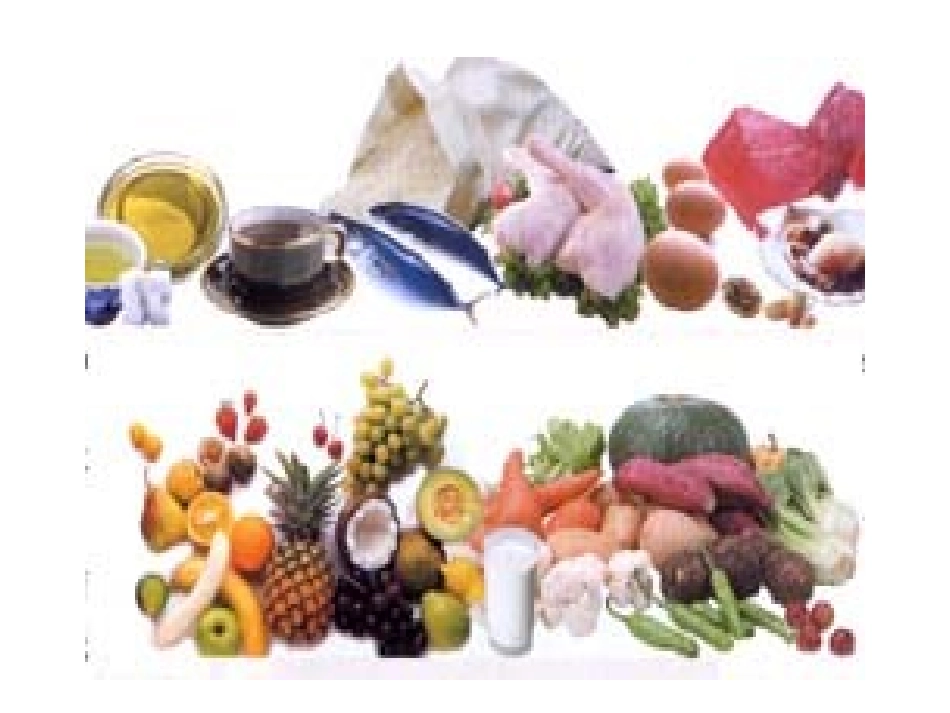 第一节人类的食物_第3页