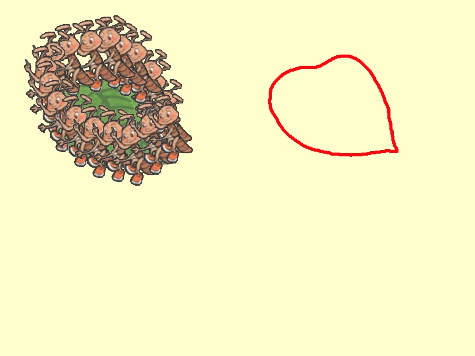 北师大版三年级数学《周长》课件_第2页