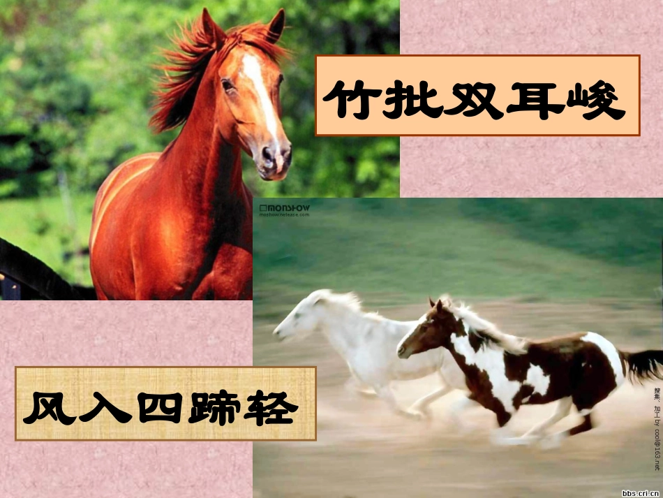 古诗二首-副本-副本_第3页