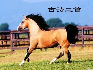 古诗二首-副本-副本