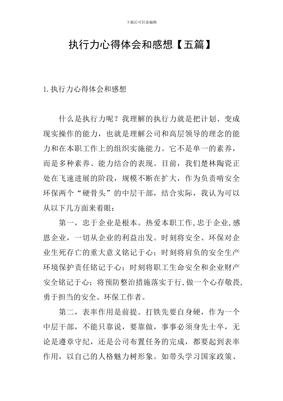 执行力心得体会和感想_第1页