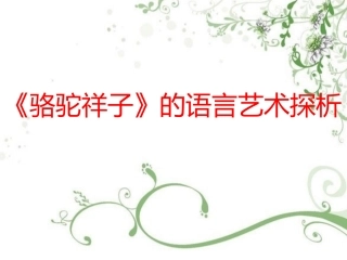 骆驼祥子》的语言探析