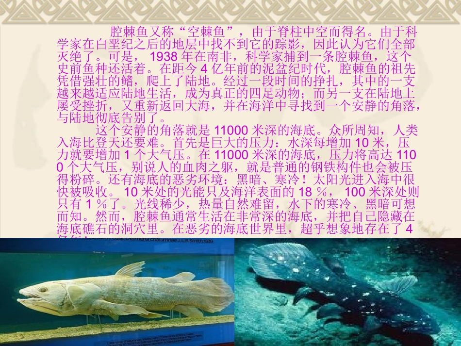 人生难免有挫折（公开课）_第2页