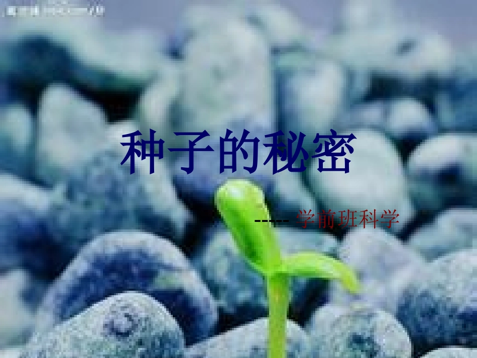 预备班幼儿教育课件_第1页