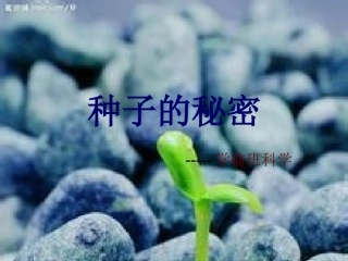 预备班幼儿教育课件