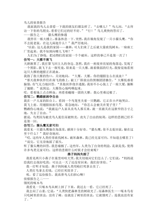 鸟儿的侦查报告仿写