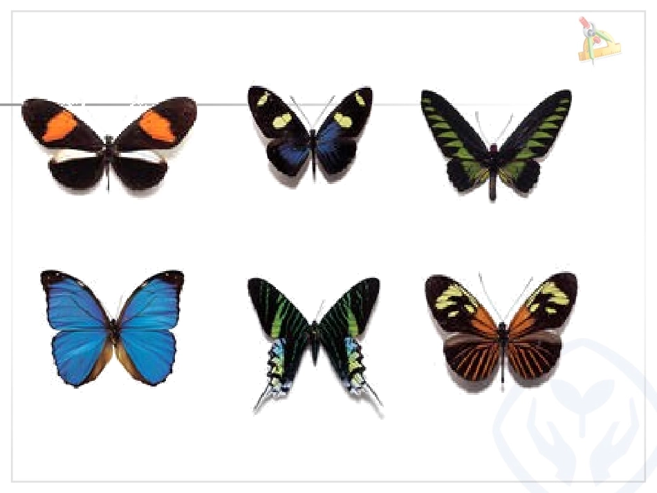 轴对称图形 (4)_第3页