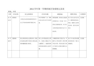 区角观察记录11月