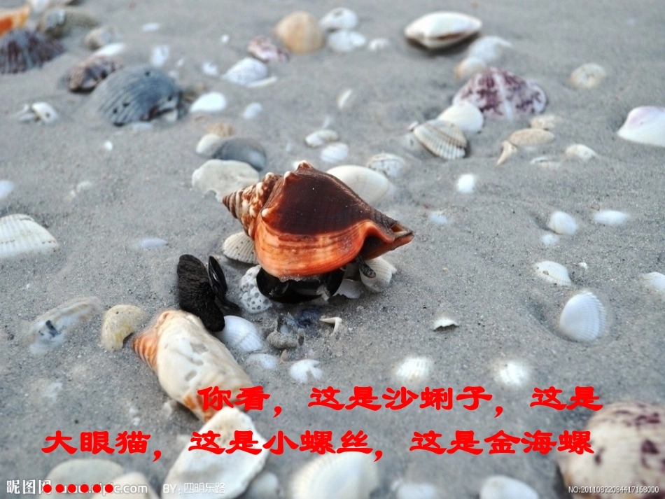 在金色的沙滩上_第3页