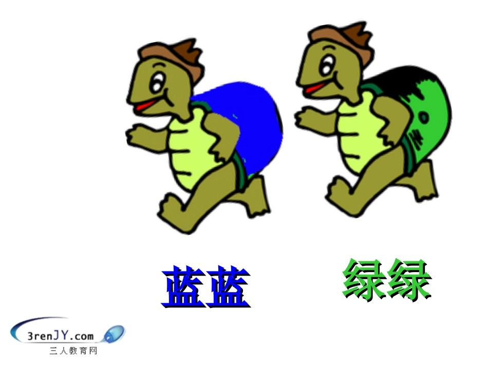 《乌龟》教学课件_第2页