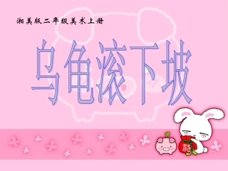 《乌龟》教学课件
