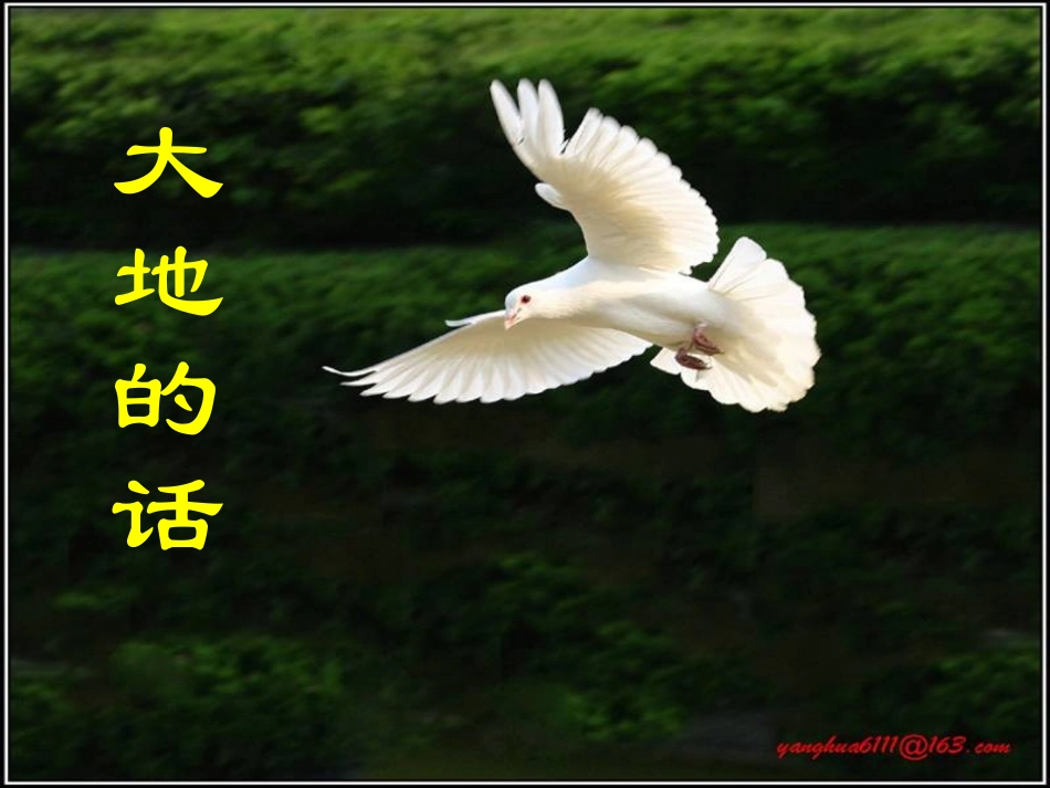 《大地的话_》课件_第1页