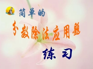 简单的分数除法应用练习