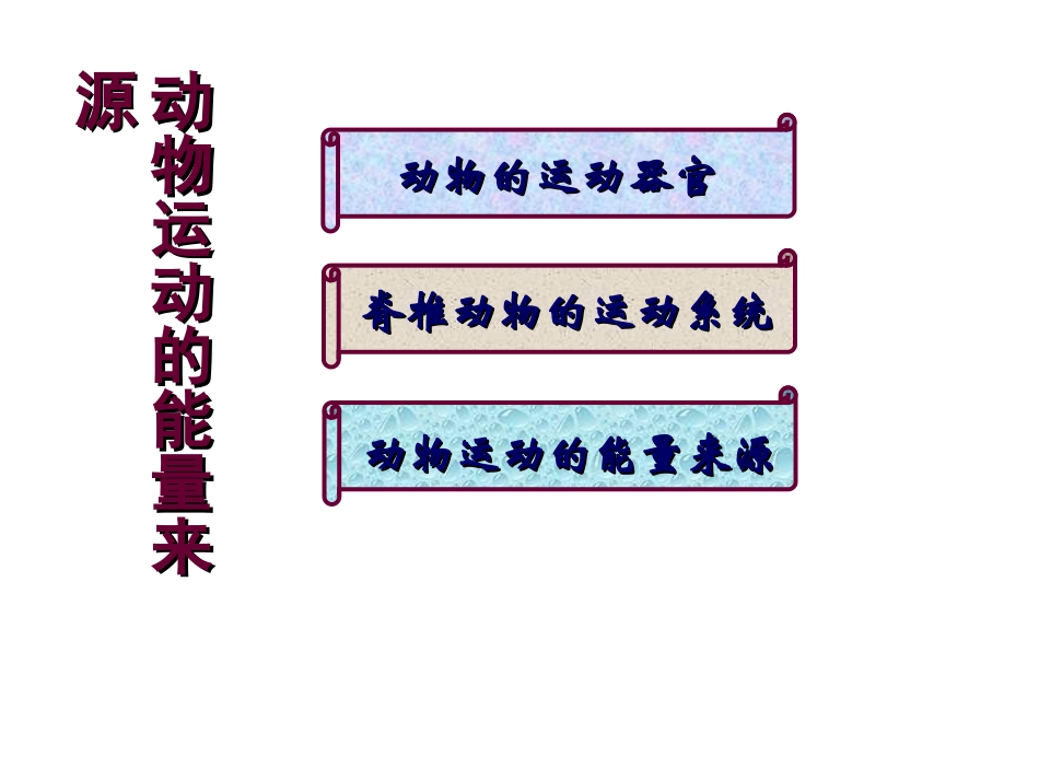 运动器官和能量来源_第1页