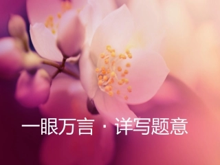 《一眼万言·详写题意》扩写课件