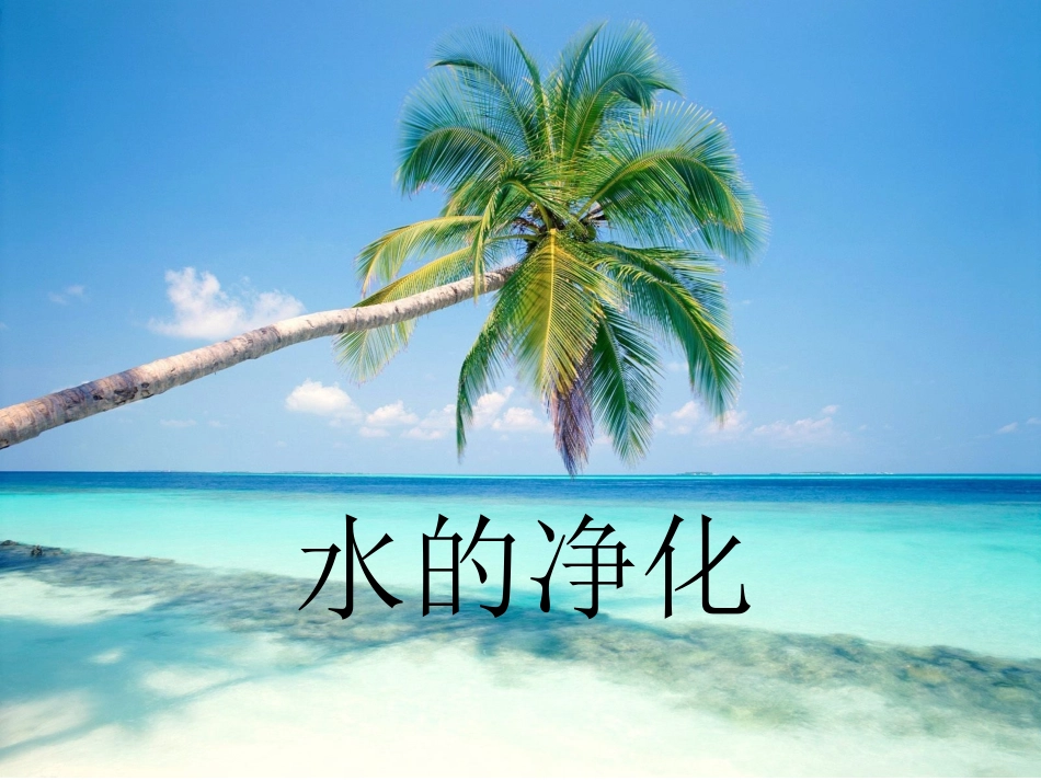 《水的净化》课件_第1页