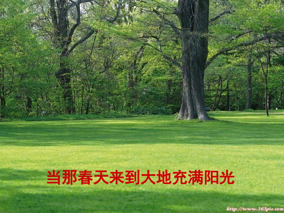 《田野在召唤》PPT_第3页