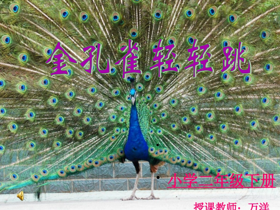 《金孔雀轻轻跳》课件_第2页