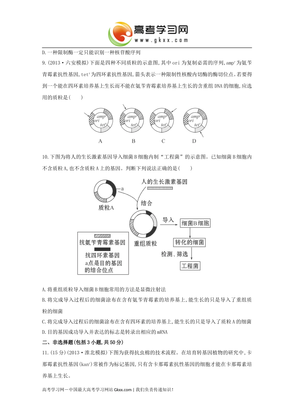 《基因工程》_第3页
