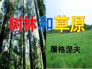 语文版七年级上第12课《树林和草原》