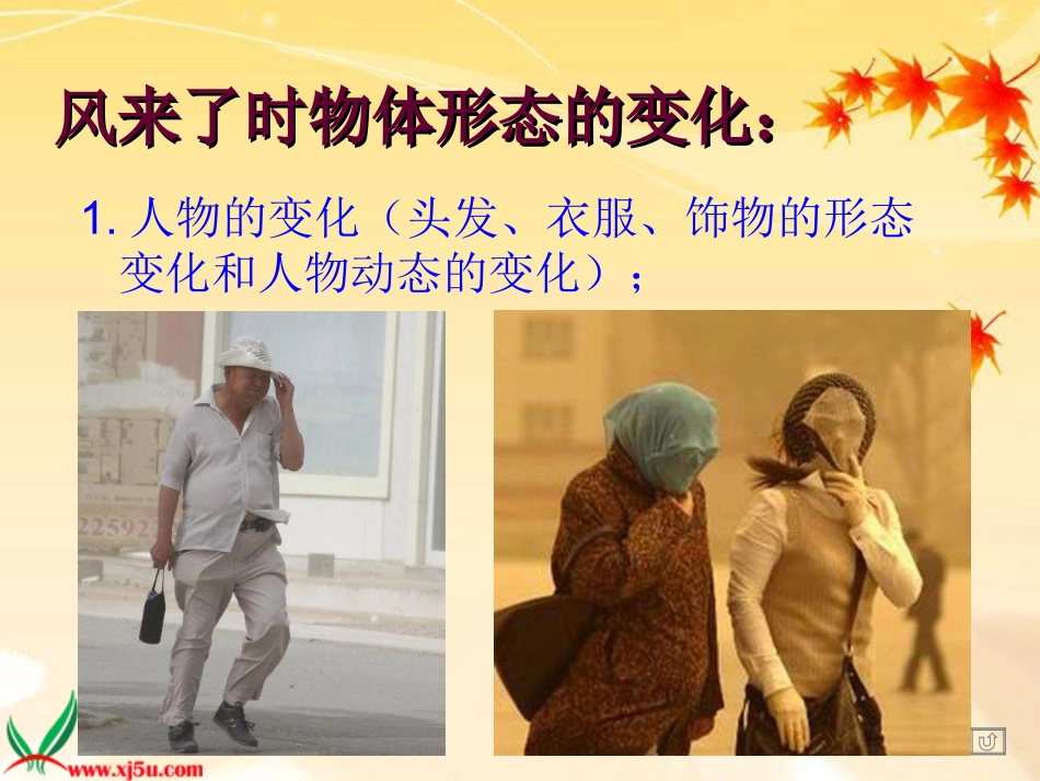 (湘美版)三年级美术下册课件_风来了_1_第3页