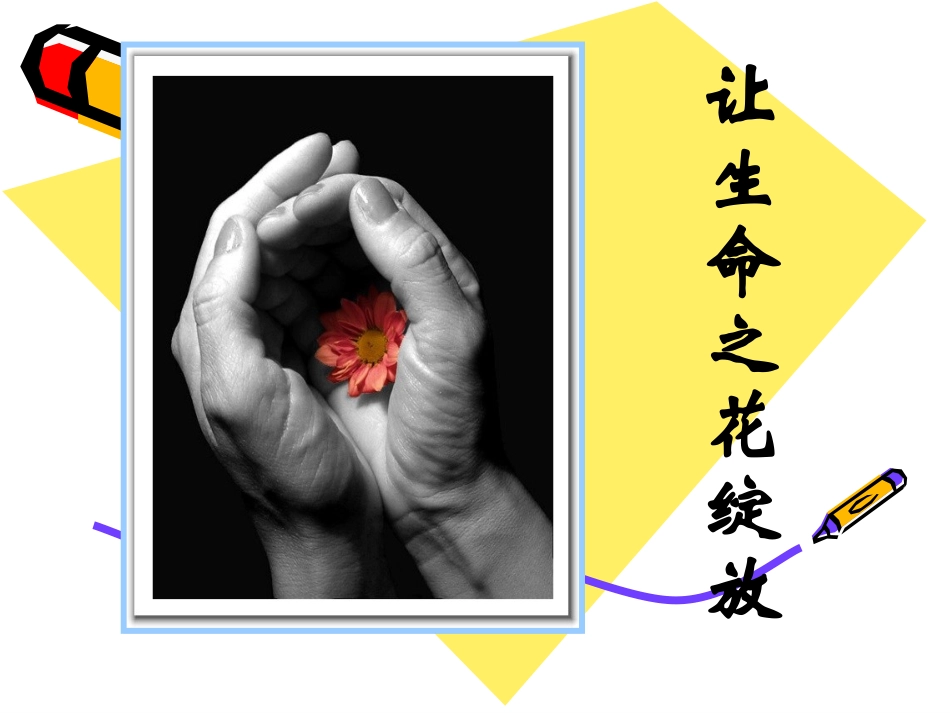 我的课件珍爱我们的生命_第1页