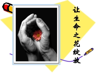 我的课件珍爱我们的生命