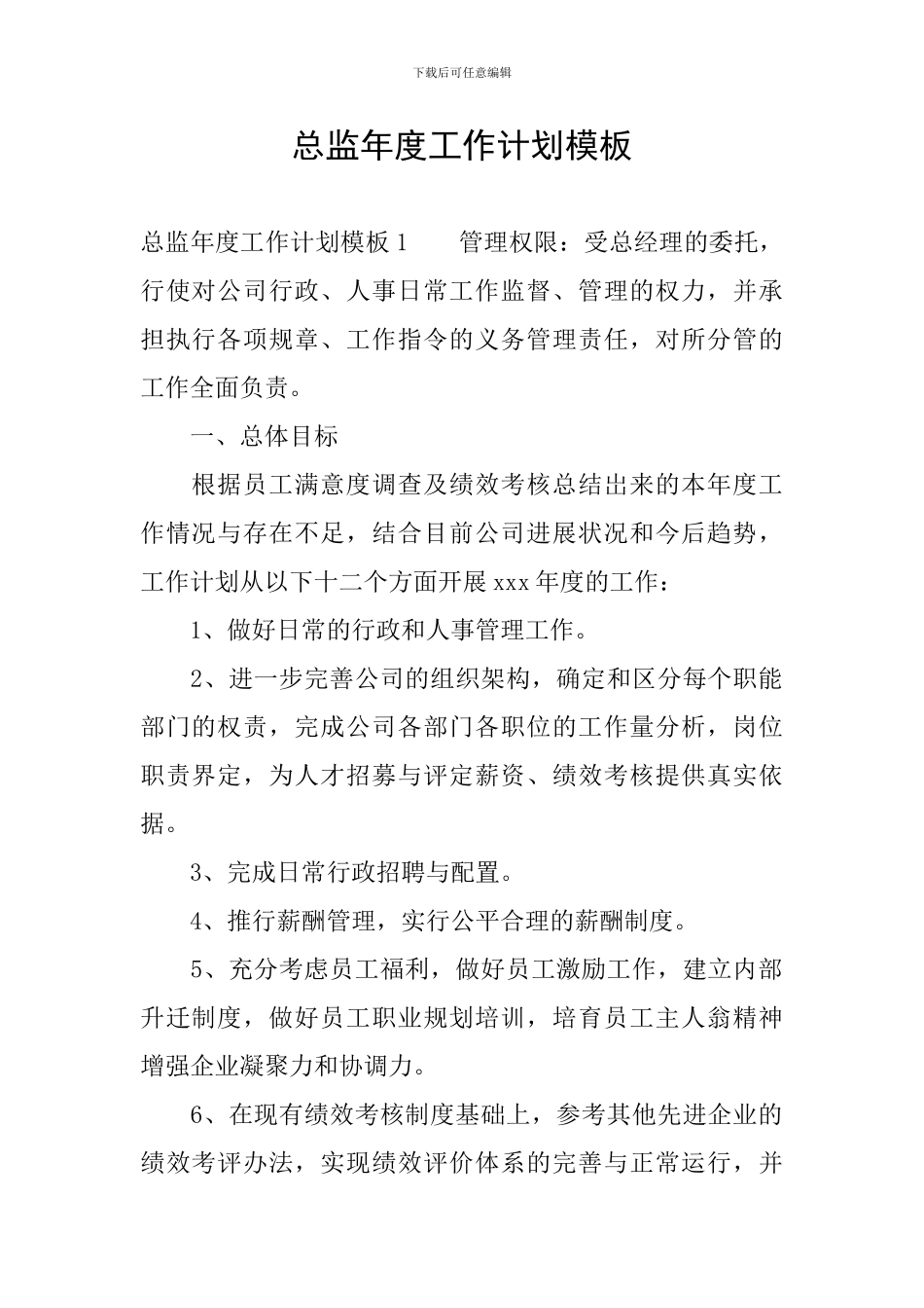 总监年度工作计划模板_第1页