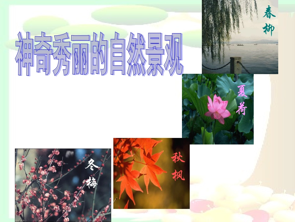 大自然的语言公开课_第2页