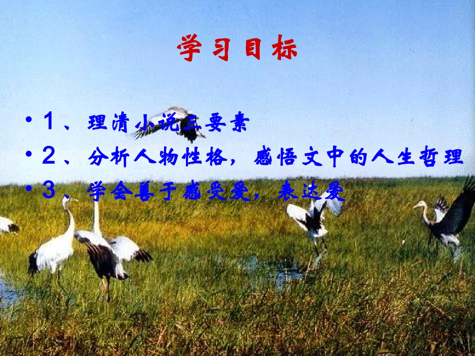 《山米与白鹤》课件_第3页