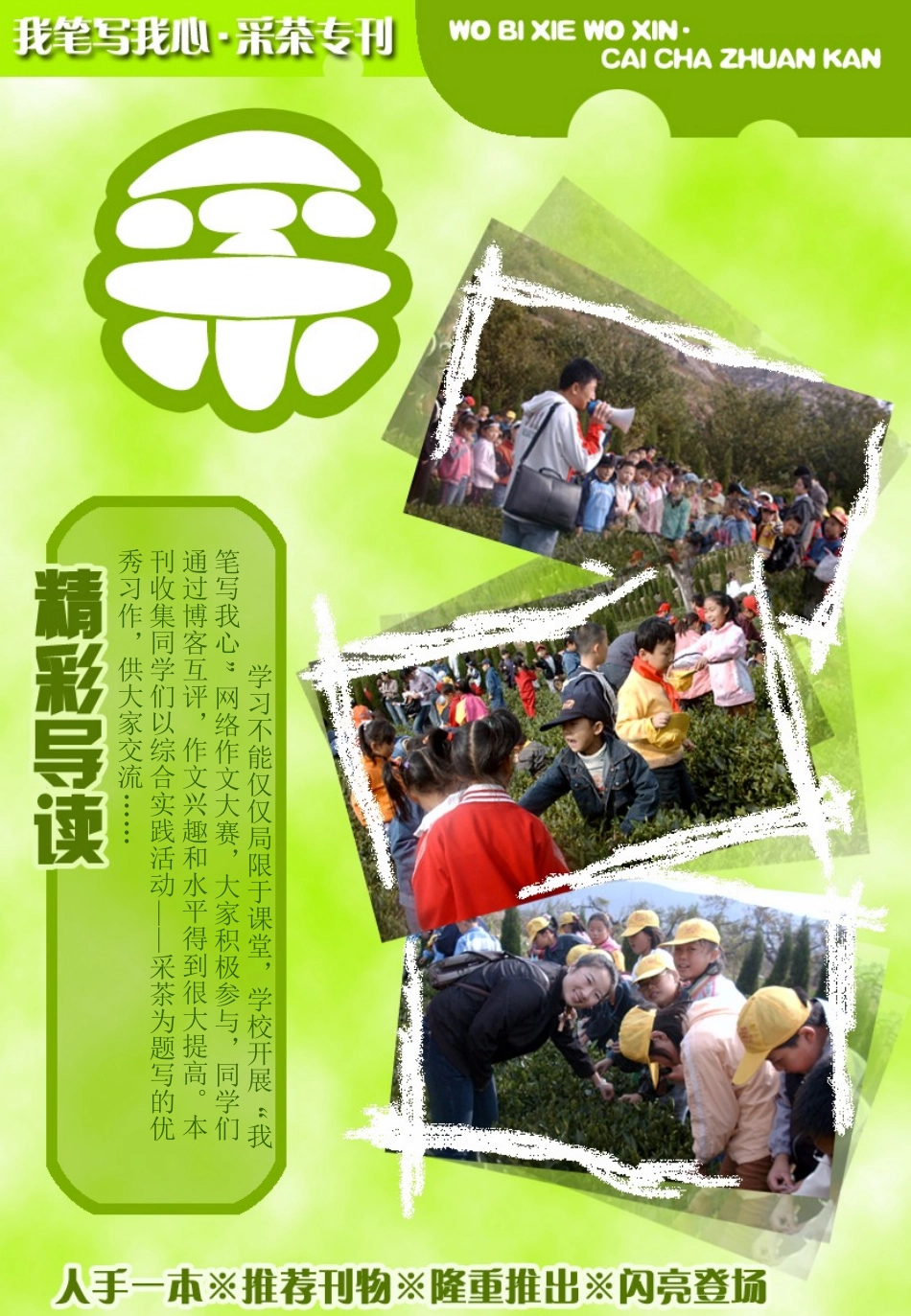 采----茶日记_第1页