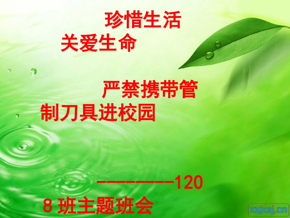 珍惜生命管制刀具主题班会幻灯片_第1页