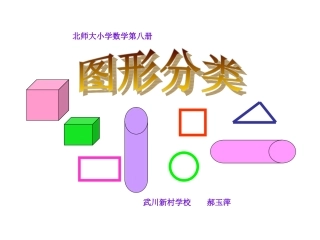北师大版小学数学四年级下册图形分类新