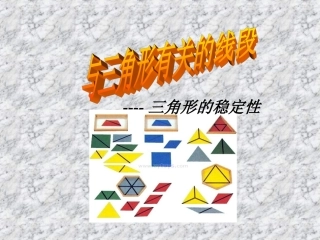 与三角形有关的线段第四课时