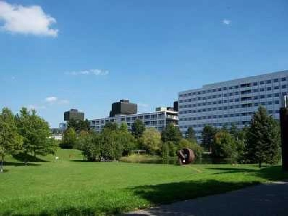《自己的花是让别人看的》课件_第2页