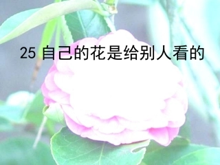 《自己的花是让别人看的》课件