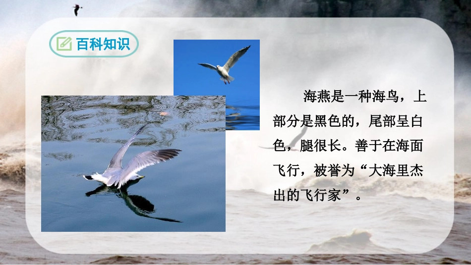 《海燕》（学生平板资源）_第2页