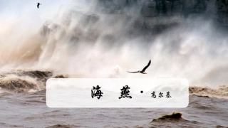 《海燕》（学生平板资源）