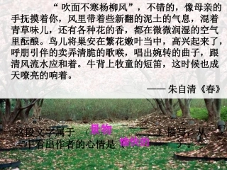 环境描写作文指导